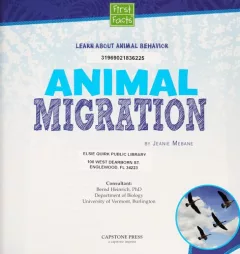 Animal migration