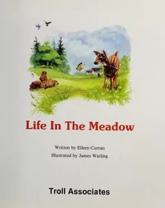 Life in the meadow