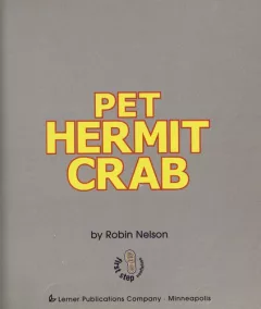 Pet hermit crab