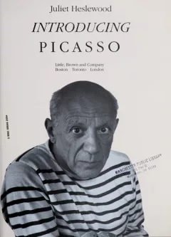 Introducing Picasso
