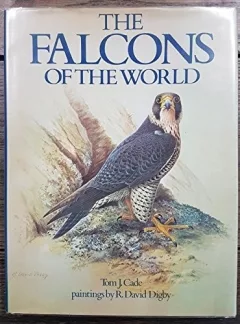 The falcons of the world