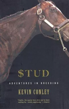 Stud
