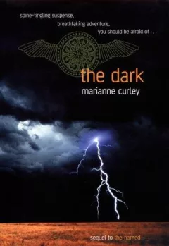 The dark