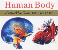 The Human Body