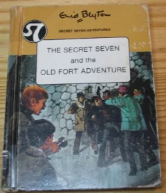 The Secret Seven and the old fort adventure.