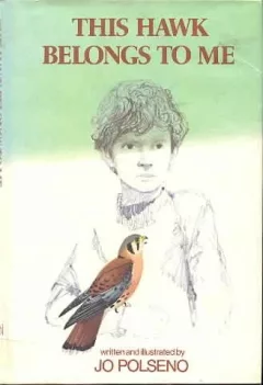 This hawk belongs to me