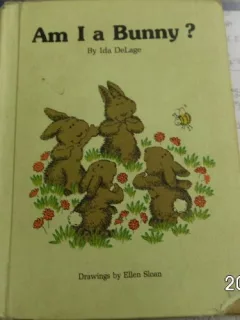 Am I a bunny?