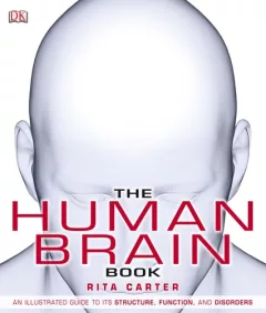 The human brain book