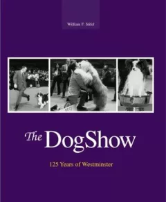 The Dog Show