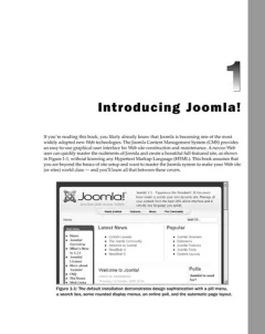 Professional Joomla!