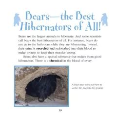 Why do bears hibernate?