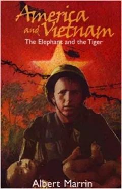 America and Vietnam