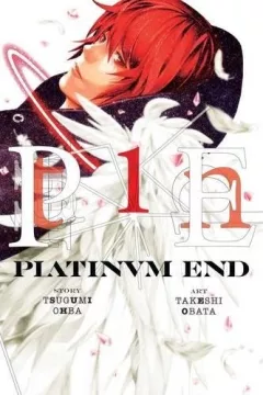 Platinum end