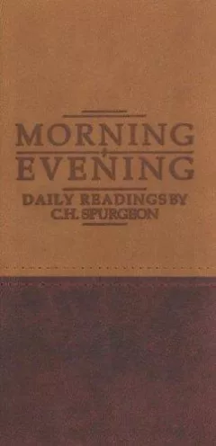 Morning & Evening