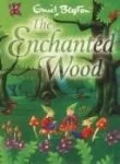 The Enchanted Wood