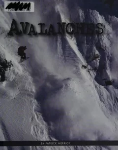 Avalanches
