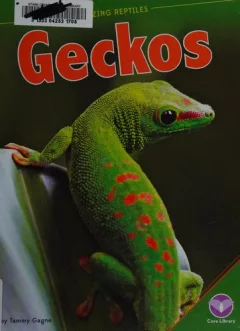 Geckos