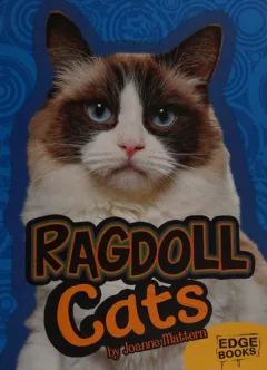 Ragdoll cats