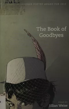 The book of goodbyes