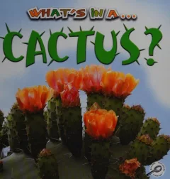 What's in a cactus?