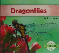Dragonflies