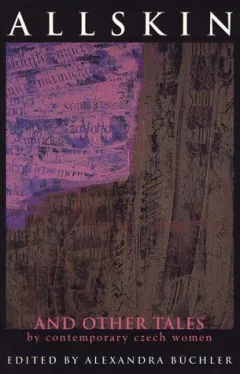Allskin and other tales by contemporary Czech women