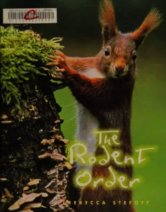 The rodent order