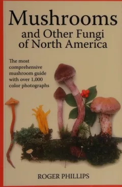 Mushrooms and other fungi of North America