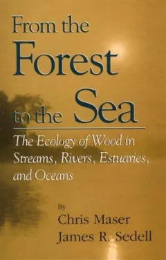 From the forest to the sea