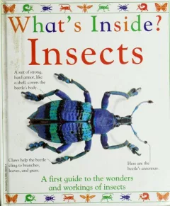 What's inside? insects