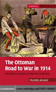 The Ottoman road to war in 1914