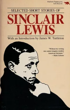 Selected short stories of Sinclair Lewis