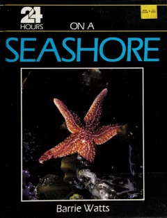 24 hours on a seashore