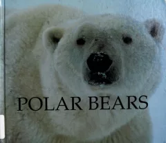 Polar bears