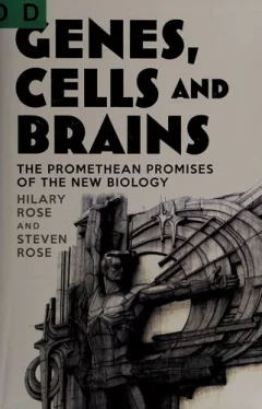 Genes, cells, and brains