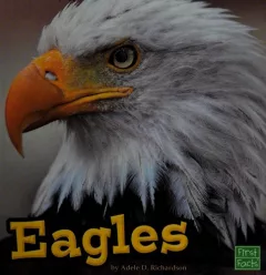 Eagles
