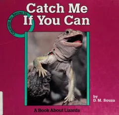 Catch me if you can