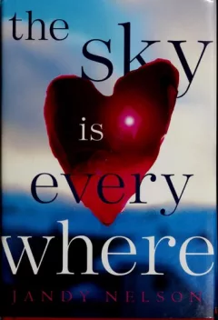 The sky is everywhere