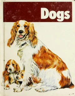 Dogs