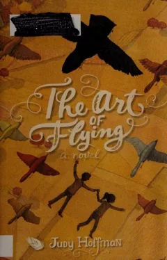 The art of flying