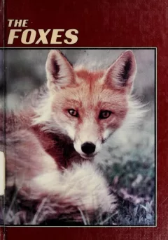 The foxes