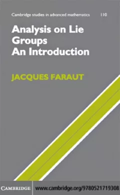 Analysis on Lie groups