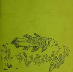 The long lost coelacanth