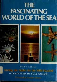 The fascinating world of the sea