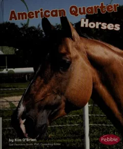 American quarter horses
