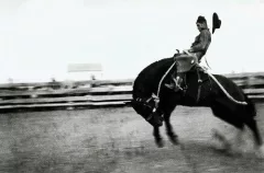 Bygone Days:1907-1957 Photographs By John Penor And Family