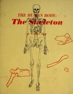 The human body: the skeleton