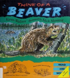 Think of a beaver
