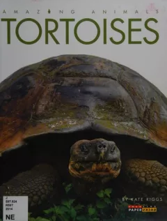 Tortoises