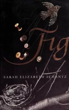 Fig